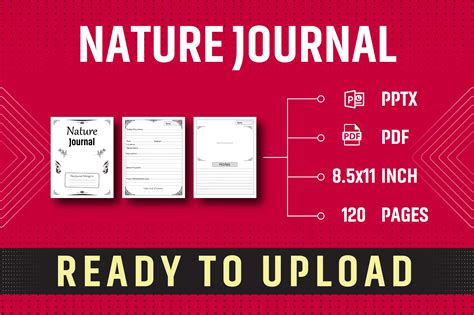 Nature Journal -KDP Interior Graphic by Zarin Studio · Creative Fabrica