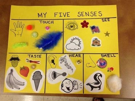 24 Five senses crafts for preschoolers - Preschool and Primary - Aluno On