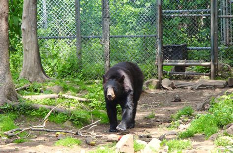 Magnetic Hill Zoo / #ExploreNB / Tourism New Brunswick