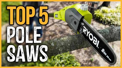 Best Pole Saws 2023 | Top 5 Best Pole Saws On Amazon - YouTube