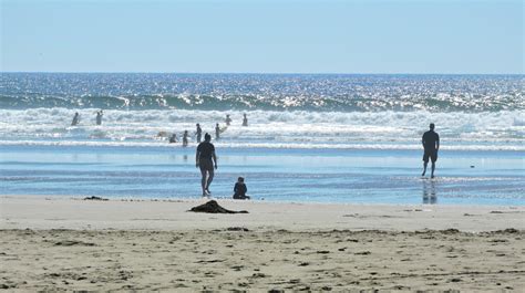 Camping Near Tofino? You'll Love Green Point Campground - Traveling ...