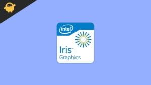 Intel Iris Plus Graphics 640, 645, 650, and 655 Driver Download and Update