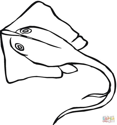 Stingray coloring page | Free Printable Coloring Pages