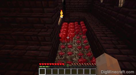 How to make a Nether Wart in Minecraft