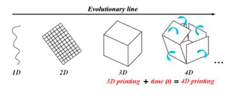 What Does the Future Hold for 3D & 4D Printing? Reviewing Current Processes & Ongoing Potential ...