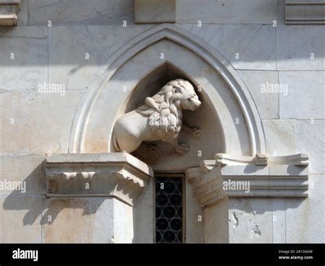 Duomo di Carrara, Carrara Cathedral, Carrara, Tuscany, Italy, Europe Stock Photo - Alamy