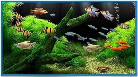 Tropical Fish Tank Screensaver Mac - Download-Screensavers.biz