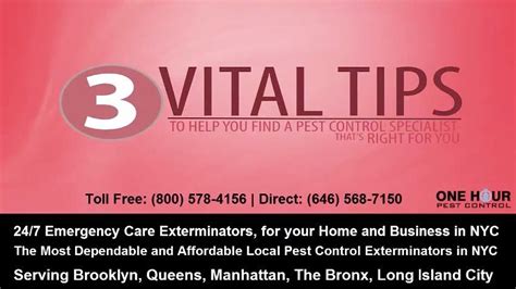 Vital Tips for Bed Bugs - 24 Hour Bed Bug Exterminators in New York