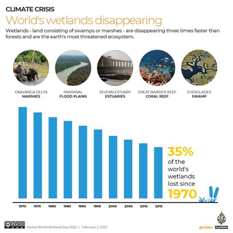 Infographic: How wetlands can help fight climate change | Infographic ...