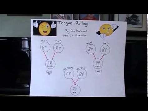 TONGUE ROLLING GENE - YouTube