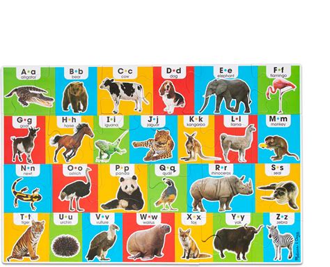 Alphabet With Animals Esl Word Search Puzzle Workshee - vrogue.co