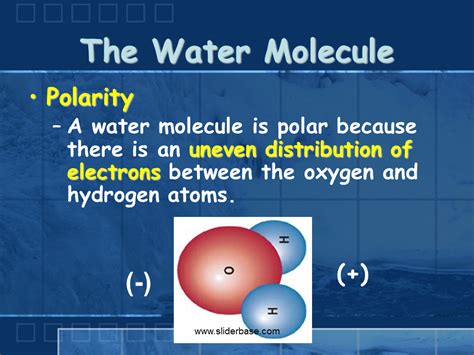 Properties of Water - Presentation Biology