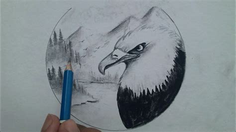 How to draw eagle head drawing step by step / Pencil drawing ideas for ...