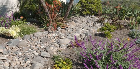 The Guiding Principles of Xeriscaping in Your South Florida Garden ...