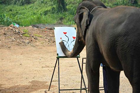 Is Elephant Painting Cruel?