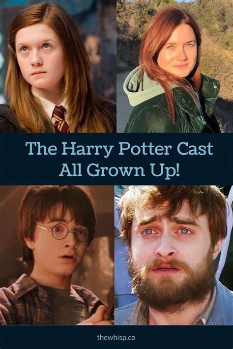 Harry Potter Cast: Then and Now Photos And What They're Doing | Harry potter cast, Harry, It cast