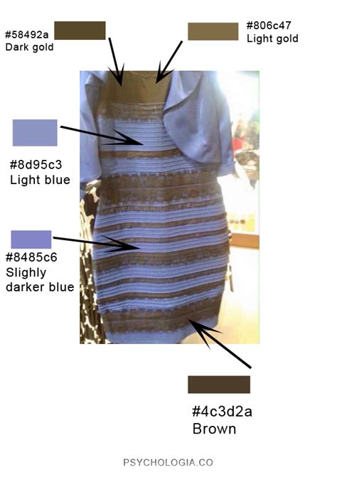 Our Photoshop Color Sample Test Proves The Dress is White and Gold #TheDress | Psychologia