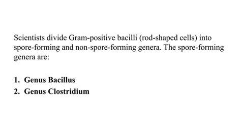 Gram Positive Spore Forming Rods