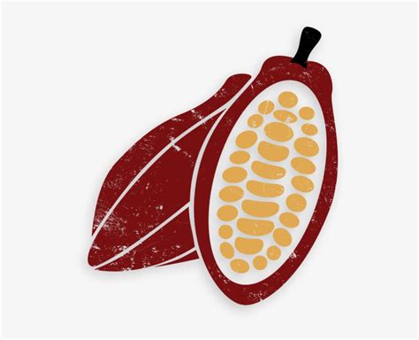 Free Png Cacao Png Images Transparent - Cocoa Bean Illustration Png ...