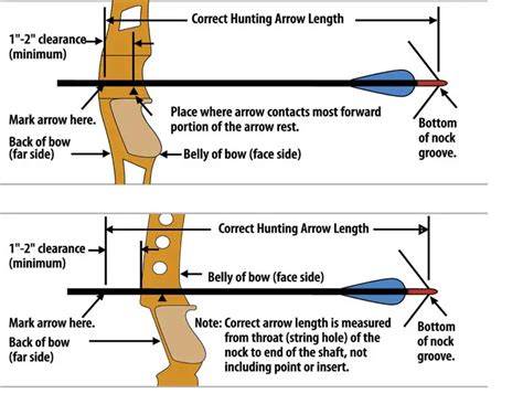 Arrow Length Vs Draw Length - Bow Hunting Advise