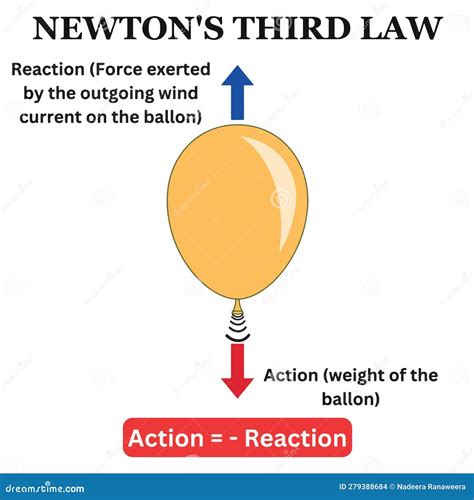 Newtons Third Law Example Newton S Law 3rd Science Balloon Action ...