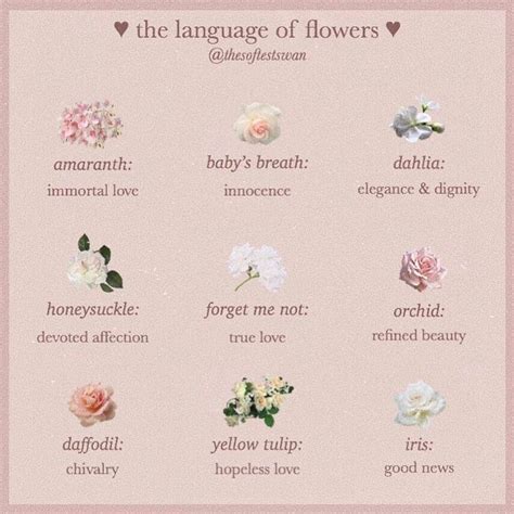 𝒟. on Instagram: “hi cuties! ♡ this post is basically just what these flowers symbolize :)) and ...