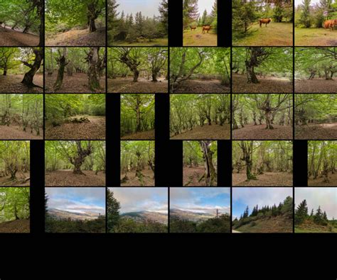 ArtStation - North of Iran ( Nature photo pack ) | Resources