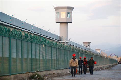 New details of torture, cover-ups in China's internment camps revealed in Amnesty International ...