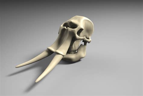 Elephant Skull 3D model 3D printable | CGTrader