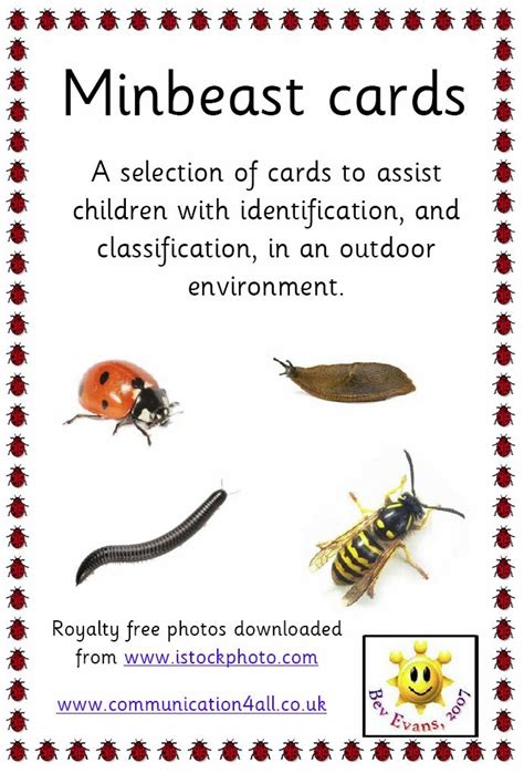 63 best images about Minibeasts on Pinterest | Activities, Fonts and Action