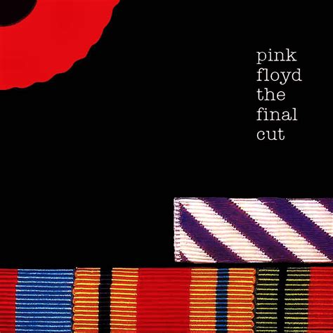 Pink Floyd - The Final Cut [180g LP remaster 2011] (vinyl) | 125.00 lei ...