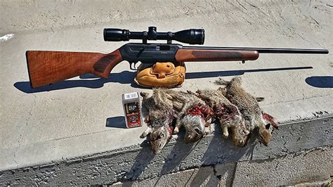 Review and Hunt Report With the CZ Model 512 Semi-Auto 22 Magnum Rifle | Varminter Magazine