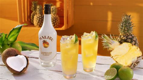 Drinks & Cocktails With Malibu Rum | Absolut Drinks