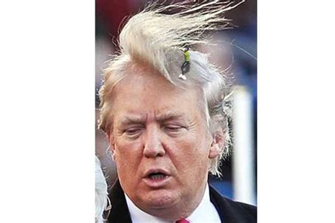 Presidential Heir Apparent Donald Trump—Funniest Hair Memes! - Popdust