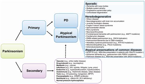 Irresti: Corticobasal Degeneration Criteria