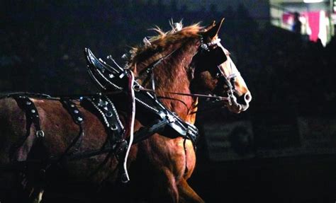 Semi show to join draft horses for “Horse Powered Weekend" - Hub City Times