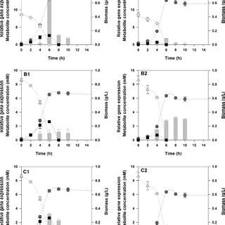 Differential gene expression of acs ( a ), cobB ( b ) and patZ ( c ...