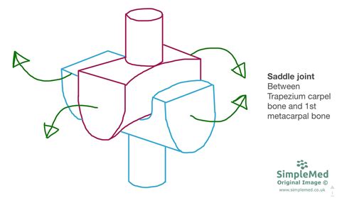 7. Joints - SimpleMed - Learning Medicine, Simplified