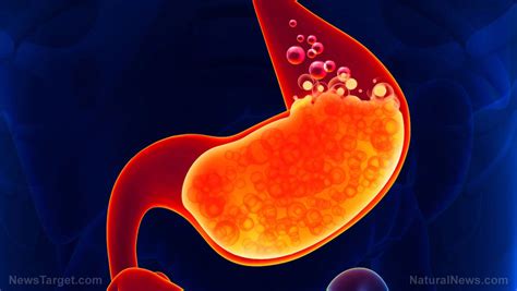 New research finds that MS, the most common inflammatory disease of the central nervous system ...