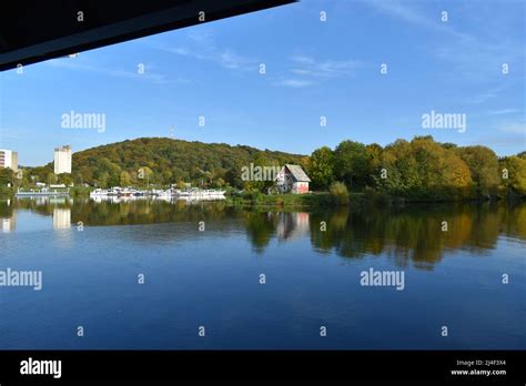 Herbstwald, Herbst, Wald, Saarbrücken, Saar, Fluss, Universität des Saarlandes, Landschaft ...