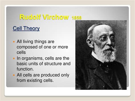 Rudolf Virchow Cell Theory Timeline