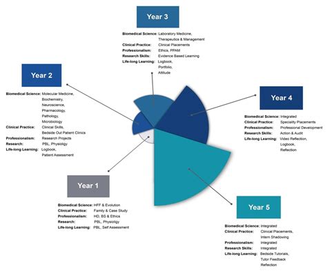 Medical School Curriculum - Graph Diagram