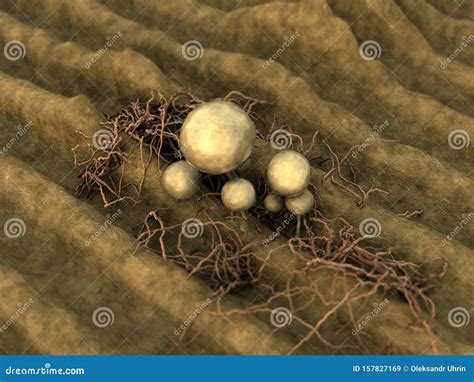 Mycelium, fungus spores stock illustration. Illustration of landscape - 157827169