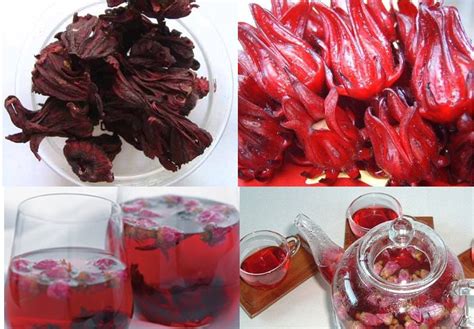 Green Hair: Hibiscus Flower - Recipes and Uses - Part 1