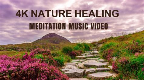 1 Hour Zen Meditation Music: Nature Sounds, Relaxing Music, Calming ...