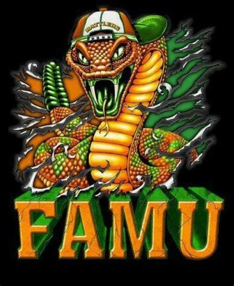 Awesome | Famu, Hbcu, Georgia dawgs