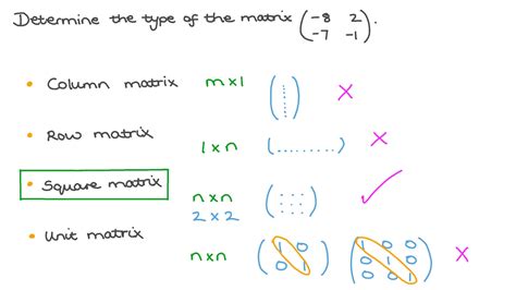 Question Video: Determining Whether the Matrix Is Square, Column, Unit, or Row Matrix | Nagwa