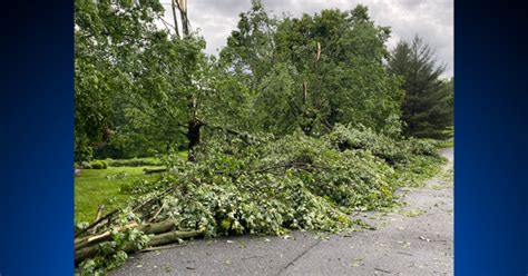 Maryland Weather: Heavy Rain & Strong Winds Ripped Through Maryland On ...