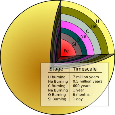 Stellar Nucleosynthesis