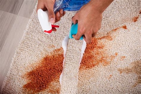 How to clean carpet stains? - Cleaning Sure